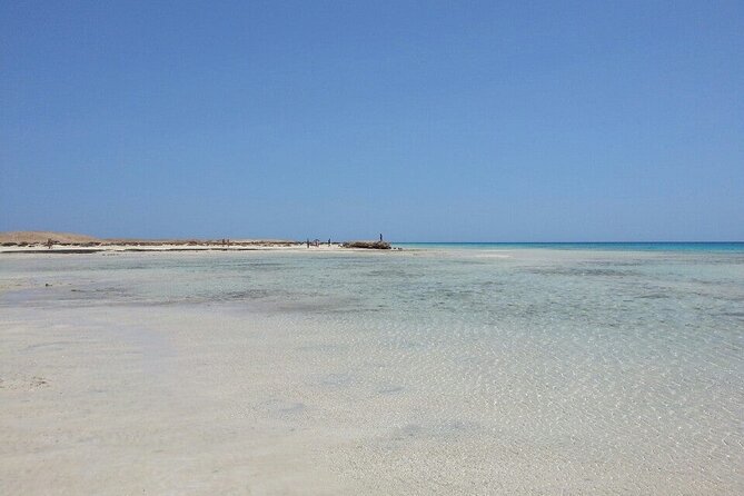 Private Trip to sharm el Lulli and wadi el Qulaan from Marsa Alam - Sharm El Luli snorkeling: white sand, coral reefs, and real reef characters