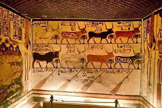 Private Valley of the Kings &Queen King Tut's,Hatshepsut &more - Colossi of Memnon and lunch with Nile views