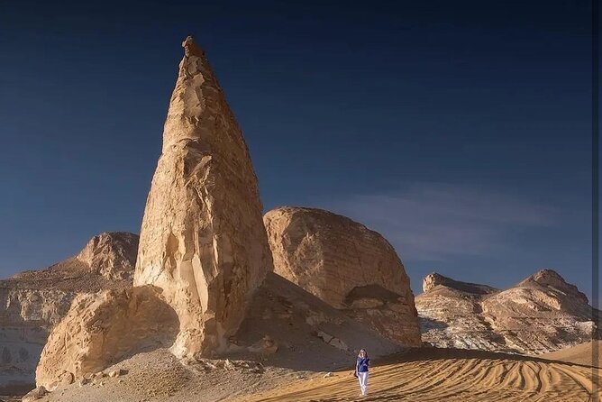 Private White Desert tour one Full day from Cairo - Who should book this one full day from Cairo?