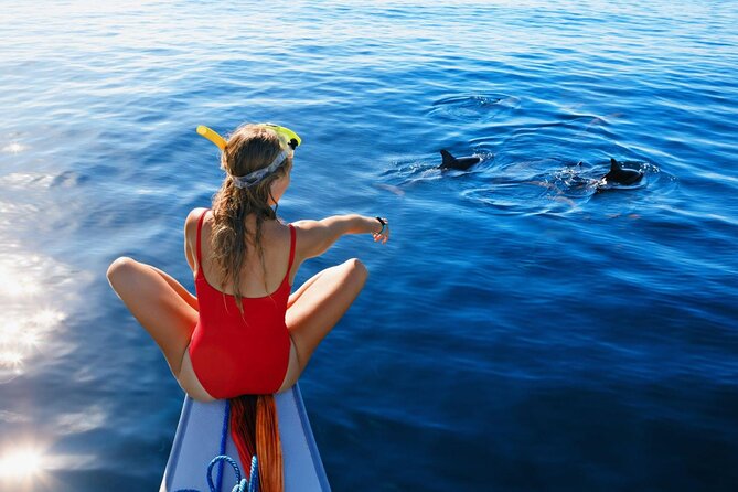 Private Yacht Cruise to Dolphin House with Lunch : Hurghada - A Private Yacht Day to Dolphin House: the vibe you’re paying for