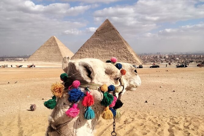 Privet tour Giza pyramids ,sphinx and Saqqara - From Pickup to First Stops at Giza: A Tight, Sensible Flow