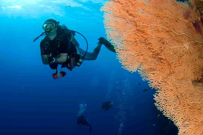 Professional 2 Stops Scuba Diving Full Day Boat Trip - Hurghada - Key things I’d circle before you go