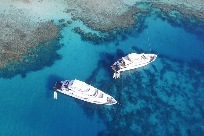 Professional 2 Stops Scuba Diving Full Day Boat Trip - Hurghada - Hurghada Boat Day at 8:30: How the timeline really feels