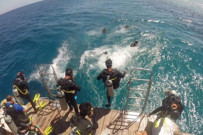 Professional 2 Stops Scuba Diving Full Day Boat Trip - Hurghada - Your own equipment box: Why setup time matters on a first boat trip