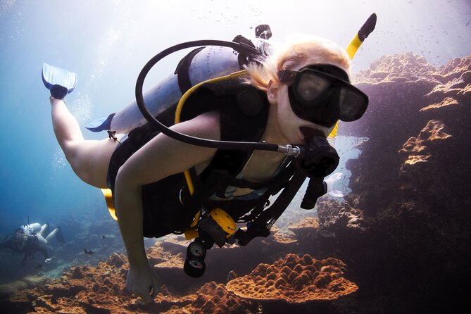 Professional Diver Two Stops Dives & Lunch, transfer–Hurghada - Key things to know before you go