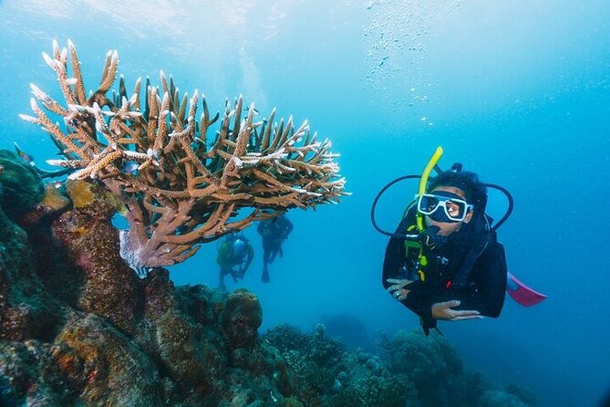 Professional Diver Two Stops Dives & Lunch, transfer–Hurghada - A practical reef day: why this format makes sense in Hurghada