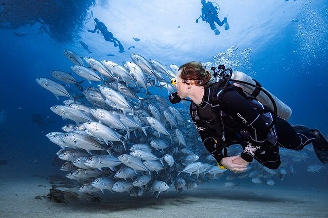 Professional Diver Two Stops Dives & Lunch, transfer–Hurghada - On the boat: gear, instruction style, and what the day actually feels like