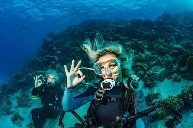 Professional Diver Two Stops Dives & Lunch, transfer–Hurghada - Underwater stop one: your first reef encounter, guided and controlled