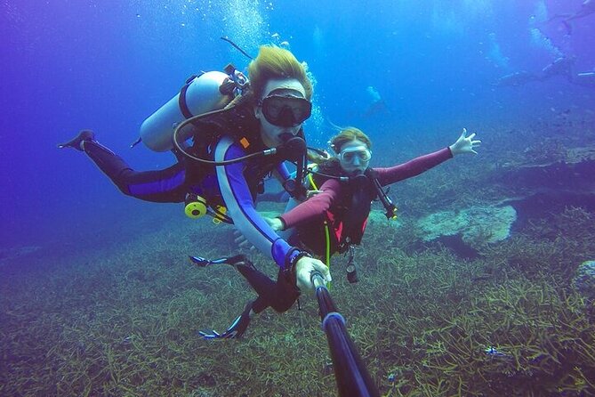 Professional Diver Two Stops Dives & Lunch, transfer–Hurghada - Stop two plus the lunch break: eating well without losing your whole day