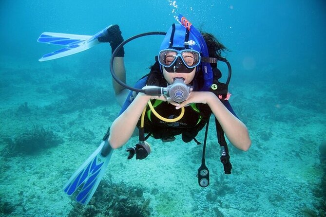 Professional Diver Two Stops Dives & Lunch, transfer–Hurghada - Price and value: how this low-cost ticket can work