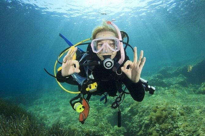 Professional Diver Two Stops Dives & Lunch, transfer–Hurghada - Who this trip is best for (and who should be cautious)