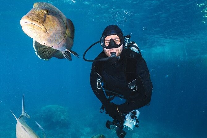 Professional Diver Two Stops Dives & Lunch, transfer–Hurghada - Service details that matter: staff attitude and help when plans wobble