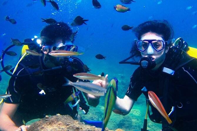 Professional Diver Two Stops Dives & Lunch, transfer–Hurghada - Getting there: hotel pickup, start time, and extra transfer costs