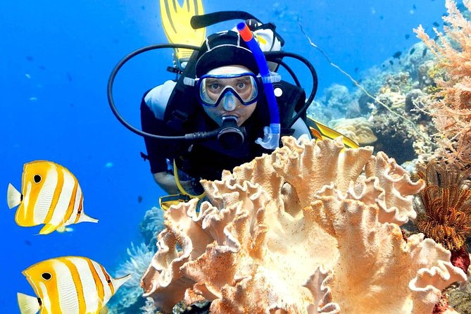 Professional Scuba Diving Boat Trip With Lunch and Transfer – Hurghada - Scuba equipment, lunch, and the PADI instructor value check