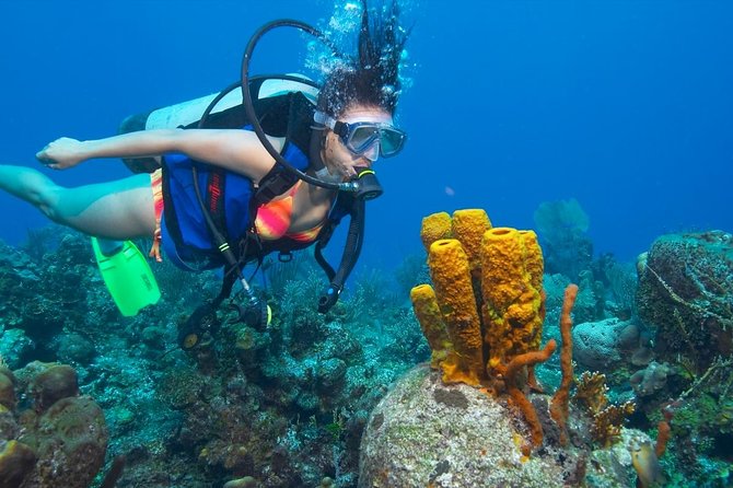 Professional Scuba Diving Boat Trip With Lunch and Transfer – Hurghada - Crew support in real life: confidence, personalization, and safety questions