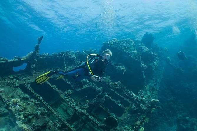 Professional Scuba Diving Boat Trip With Lunch and Transfer – Hurghada - Where the boat trip fits best: certified scuba participants and snorkeling companions