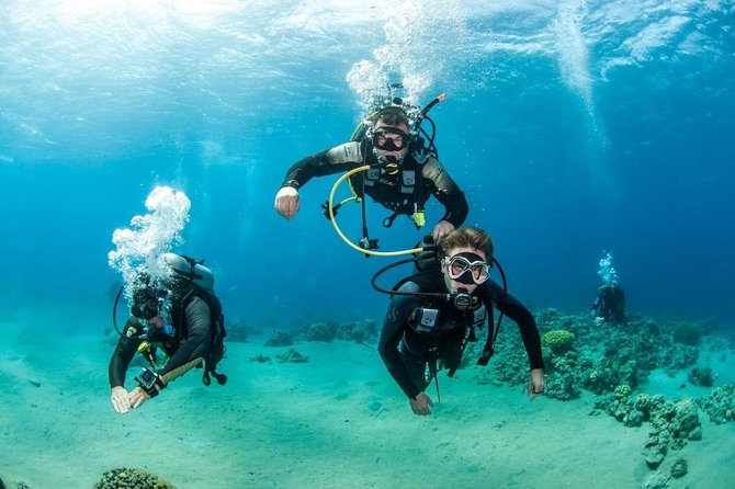 Professional Scuba Diving Boat Trip With Lunch and Transfer – Hurghada - Should you book this Hurghada boat trip?