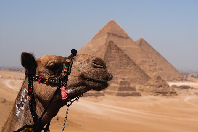 Pyramids and Egyptian Museum - Cairo Tour - Who this Cairo tour is best for (and who might want another style)