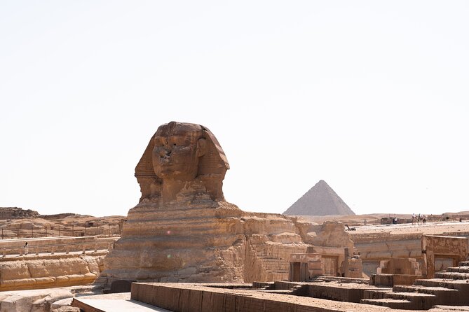 Pyramids and Egyptian Museum - Cairo Tour - Lunch and private transport: the unglamorous stuff that improves your day