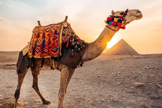Pyramids camel ride - Key Highlights You’ll Want to Know Before You Go