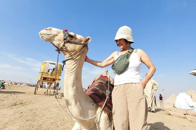 Pyramids of Giza , Memphis , Saqqara , Lunch Guided Private Trip - Price and Value: What You’re Really Paying for at $50 Per Person