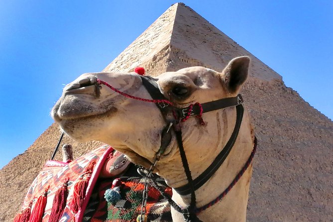 Pyramids of Giza & Saqqara complex - Stop 1: The Giza Plateau, from Great Pyramid to Valley Temple