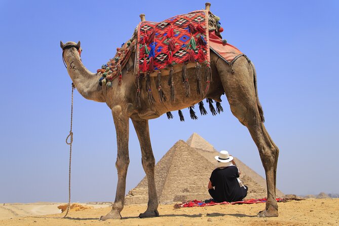 Pyramids of Giza, Sphinx and Egyptian Museum Day Tour - Stop 1: Pyramids of Giza with three icons and photo time