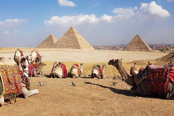 Pyramids of giza ,Sphinx,riding camel and driving a quad bick ATV. - Why this Giza tour feels efficient from the start