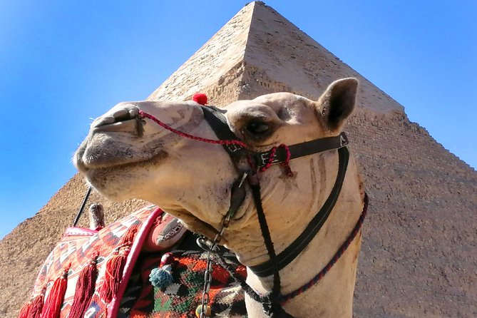 Pyramids of Giza, the Sphinx, the Egyptian Museum. - Khan el-Khalili Without the Navigation Headaches