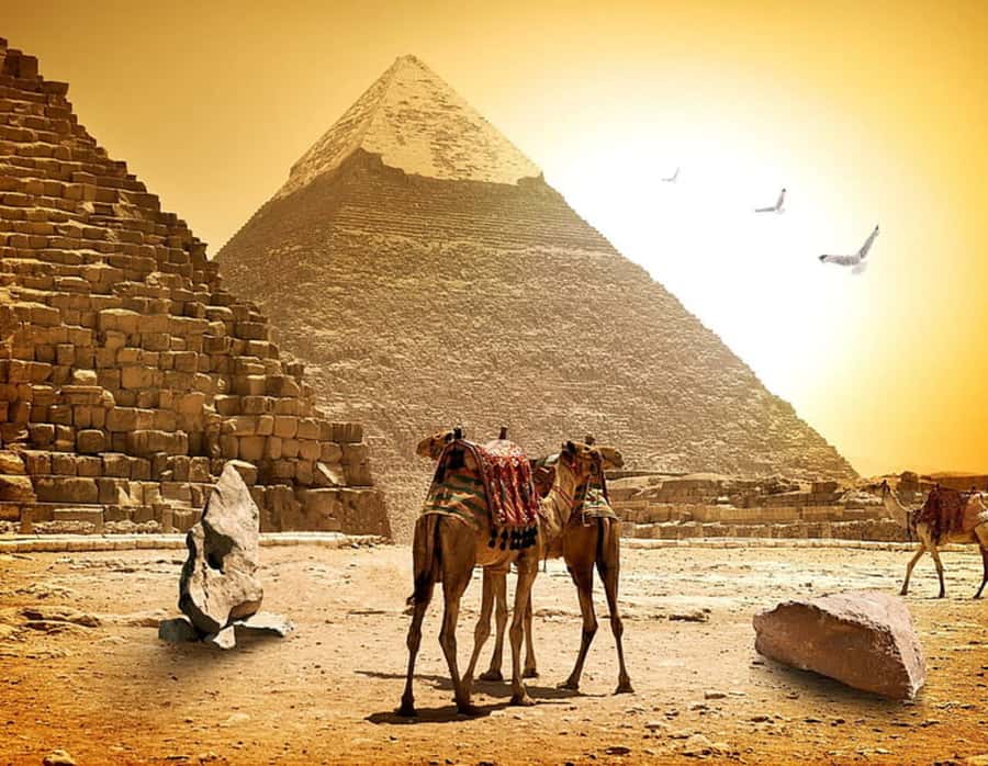 Pyramids, Sakkara & Memphis Private Tour with Lunch - Key things to know before you go