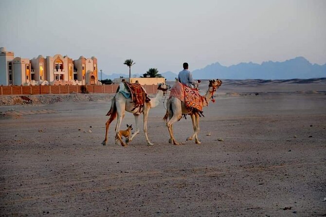 Quad Bike 3 hours - Price and value: what $25 gets you in the Hurghada desert