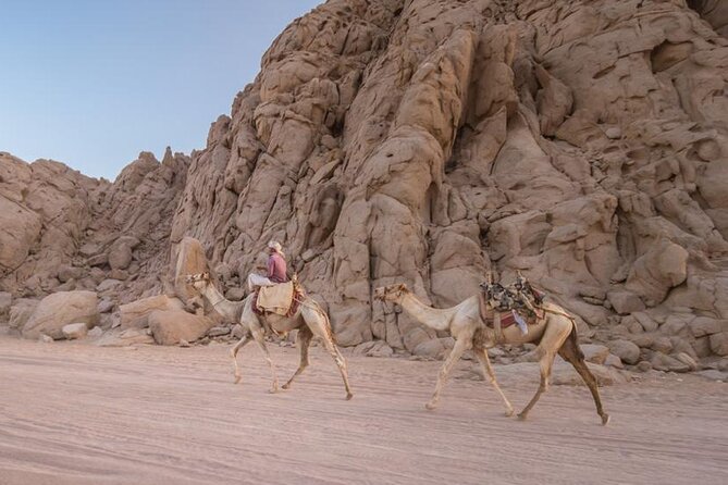 Quad Bike Desert Adventure in Sharm El Sheikh - Quad Bike Desert Adventure in Sharm El Sheikh: what you’re signing up for