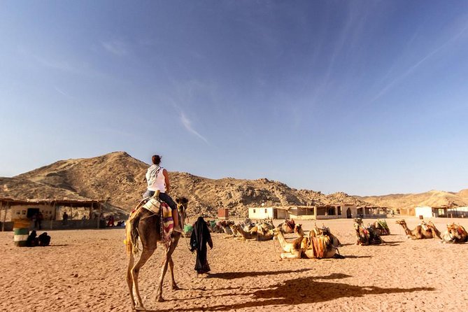 Quad Biking in the Egyptian Desert from Hurghada - Pickup, Timing, and How the 4 Hours Typically Play Out