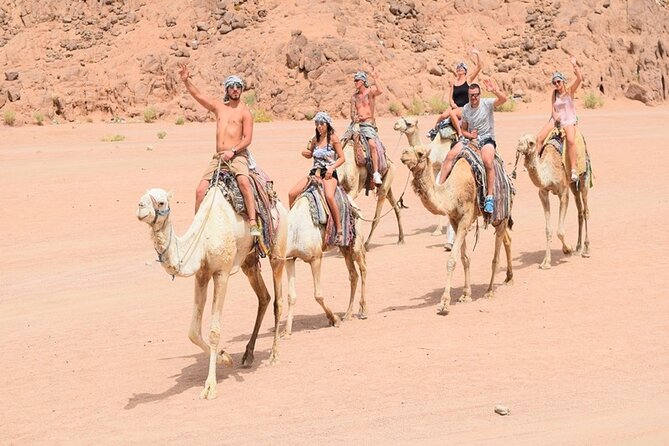 Quad Biking Safari-Camel Ride-Bedouin Dinner and Shows From Sharm - Camel ride and Bedouin village dinner: where expectations help