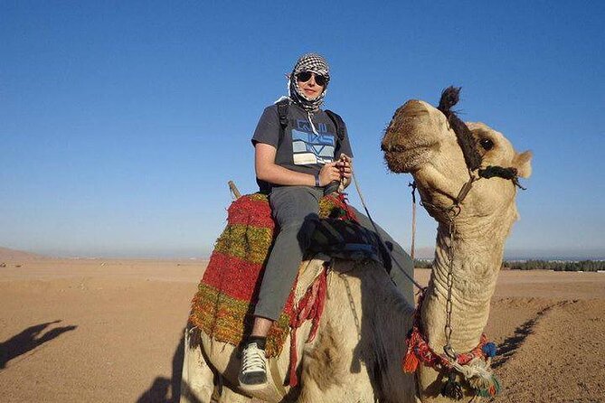 Quad Biking Safari-Camel Ride-Bedouin Dinner and Shows From Sharm - Who this safari suits best