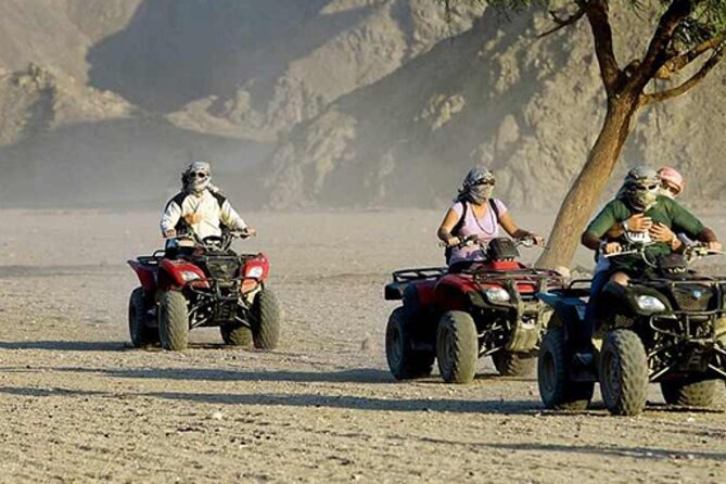 Quad with Camel Ride & Bedouin village From Marsa Alam - Key Points to Know Before You Go