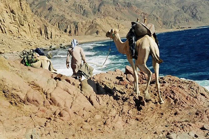 Ras Abu Gallum & Blue Hole Snorkel Safari by Jeep and camel - Blue Hole snorkeling: what you should know before you go