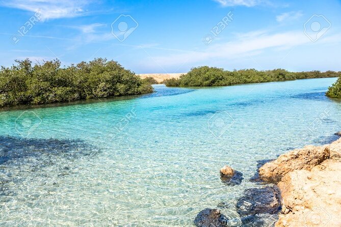 Ras Mohamed and White Island Snorkeling Trip and One Stop Diving-Sharm El Shiekh - Quick Highlights You’ll Actually Care About