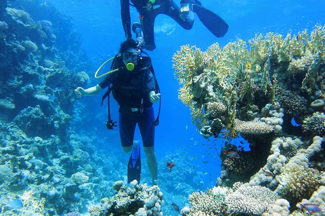 Ras Mohamed and White Island Snorkeling Trip and One Stop Diving-Sharm El Shiekh - Hotel Pickup and the 8-Hour Boat Rhythm in Sharm el Sheikh