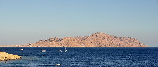 Ras Mohamed Boat Trip & White Island - Key things to know before you go