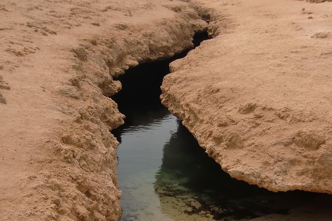 Ras Mohamed by Bus from Sharm elsheikh - Ras Mohammed’s protected waters and why it matters