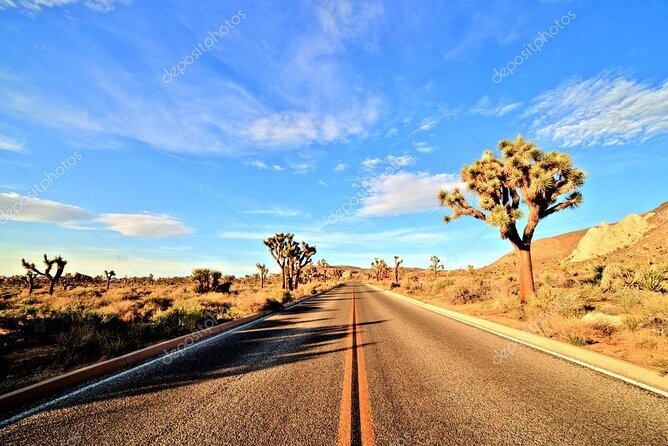 Ras Mohamed National Park Half Day Sea Trip by Bus- Sharm ElSheikh - Guide and group size: what I’d watch for before you go