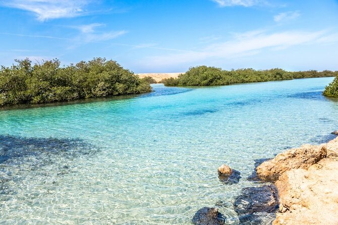 Ras Mohamed National Park Half Day Tour by Bus In Sharm El Sheikh - Your Morning Route in Ras Mohamed: Stop by Stop
