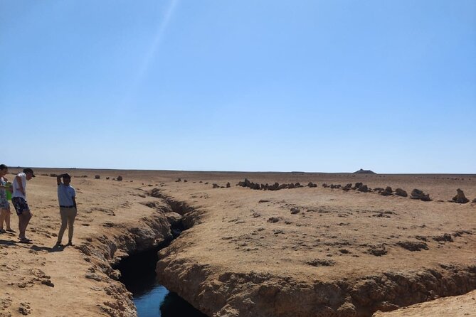 Ras Mohamed National Park Half Day Tour by Bus In Sharm El Sheikh - Guide Quality and Languages: Who’s Running the Day