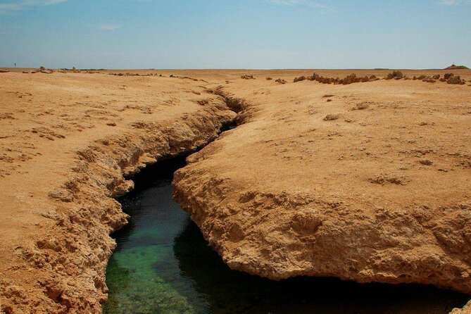 Ras Mohamed National Park Half Day Tour by Bus In Sharm El Sheikh - What Can Feel Rushed: The Tradeoff for a Half-Day Format