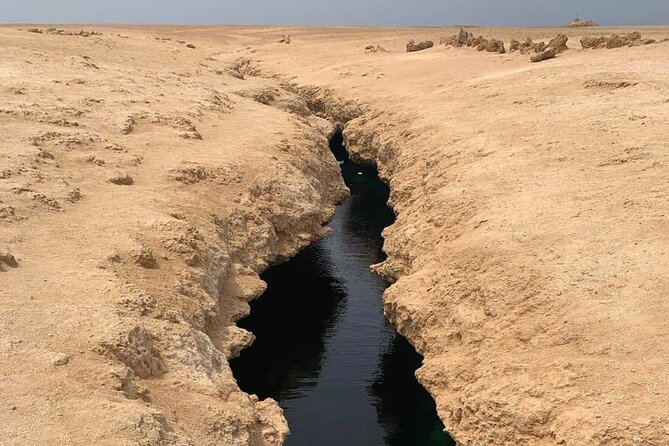Ras Mohamed National Park Half Day Tour by Bus In Sharm El Sheikh - Value for Money: Why This Price Can Make Sense