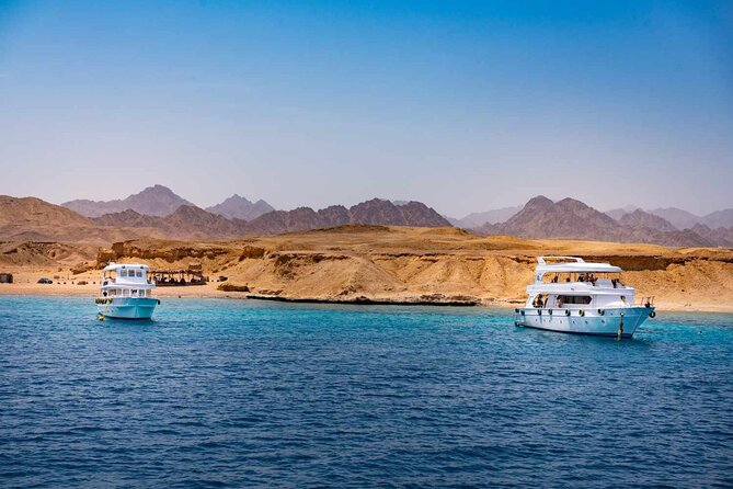 Ras Mohammed and White Island Snorkeling Sea Trip with Lunch - Key highlights you’ll care about