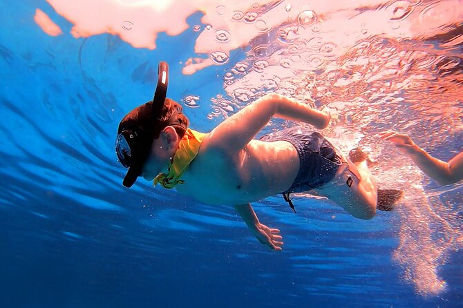 Ras Mohammed and White Island Snorkeling Sea Trip with Lunch - Price and value: $16.55 can be a great deal—if you budget the extras