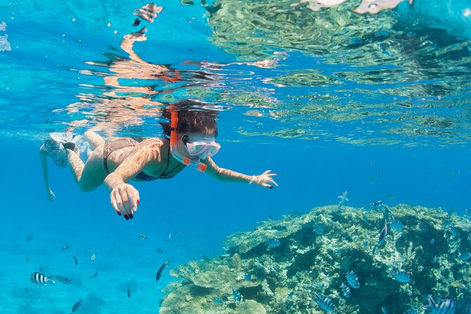 Ras Mohammed Diving & White Island Luxurious Cruise with Lunch - Weather, Wind, and What to Bring for a Smoother Day