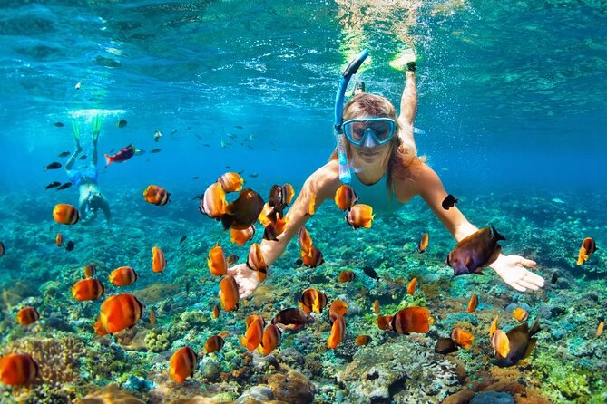 Ras Mohammed national park by bus + Snorkeling - Hotel Pickup and Air-Conditioned Bus Time: The Calm Part